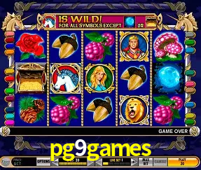 Interface Premium pg9games